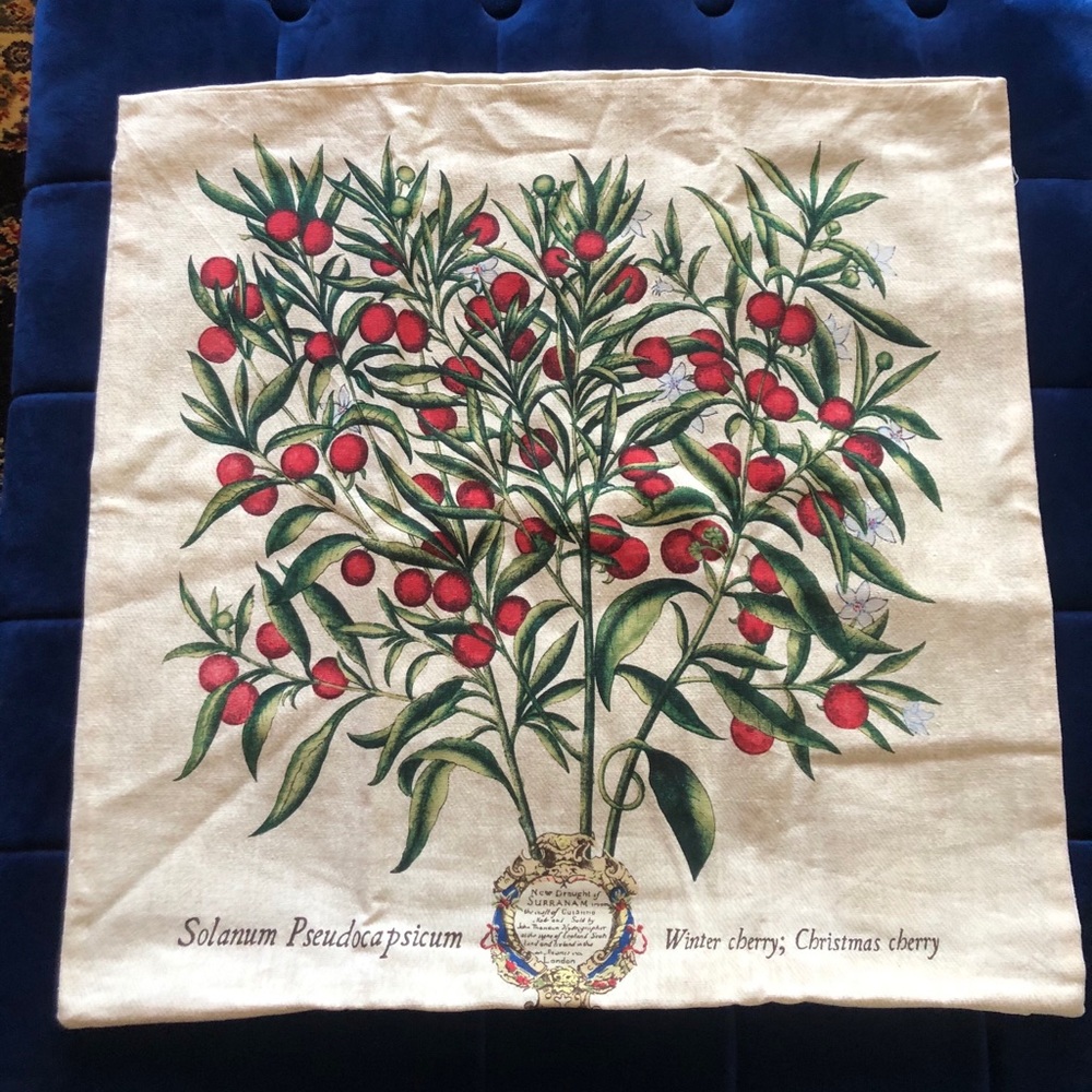 Pottery Barn Winter Cherry pillow cover